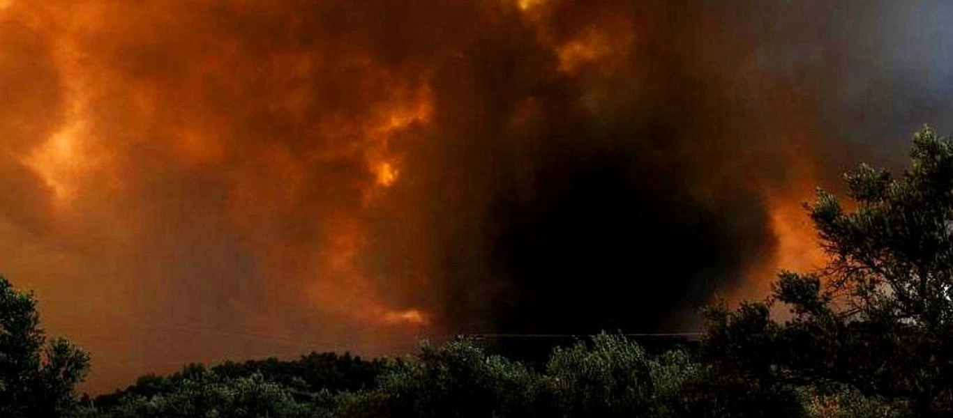 Πυρκαγιά λίγο έξω από τη Θεσσαλονίκη – Παραλίγο να επεκταθεί σε εργοστάσιο μεταλλικών κατασκευών (βίντεο)